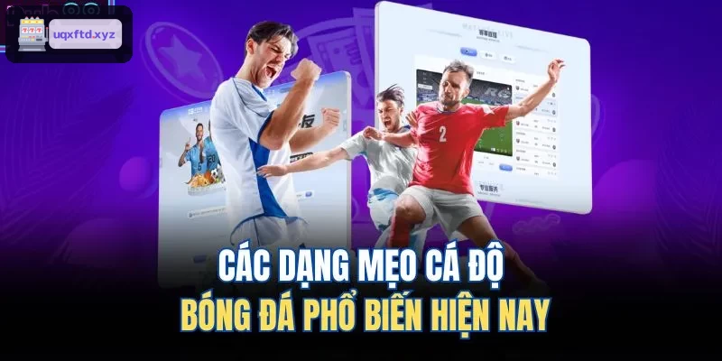 Những loại chiến thuật cá độ bóng đá phổ biến