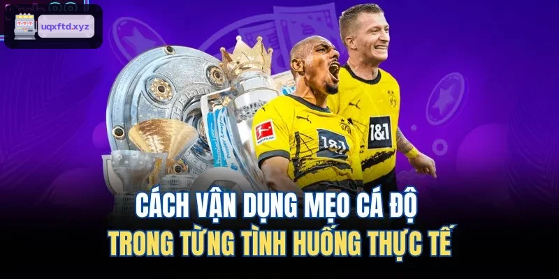 Áp dụng mẹo cá độ trong từng tình huống cụ thể