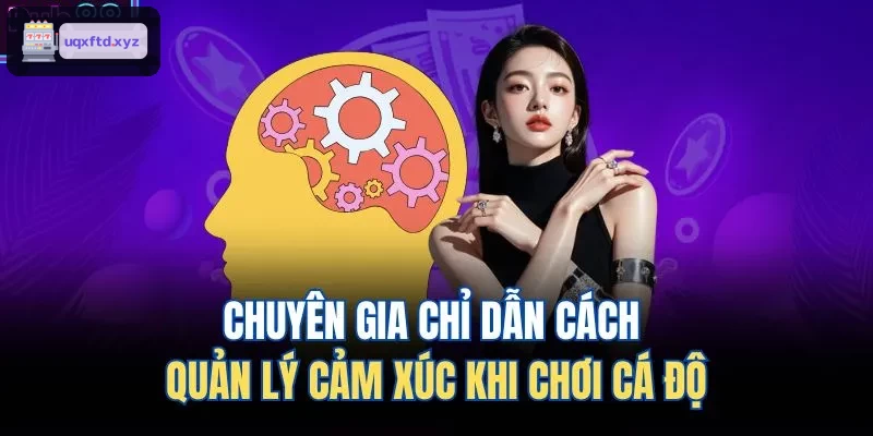 Hướng dẫn kiểm soát cảm xúc khi cá cược