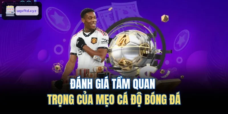 Phân tích tầm quan trọng của chiến thuật cá độ bóng đá