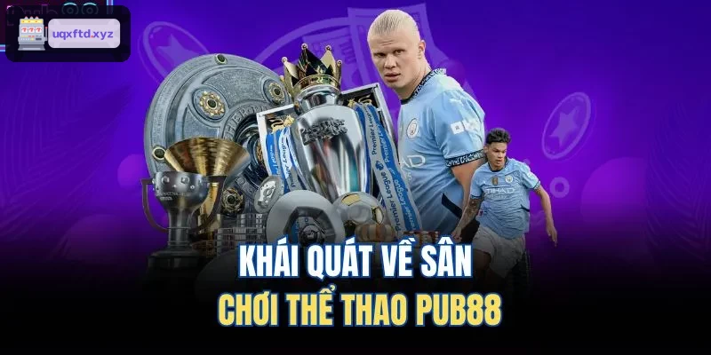 Khái quát về sân chơi thể thao VUA88