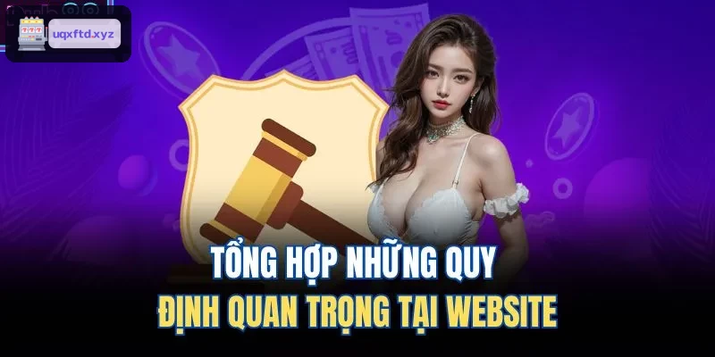 Các quy định chính yếu được áp dụng tại website